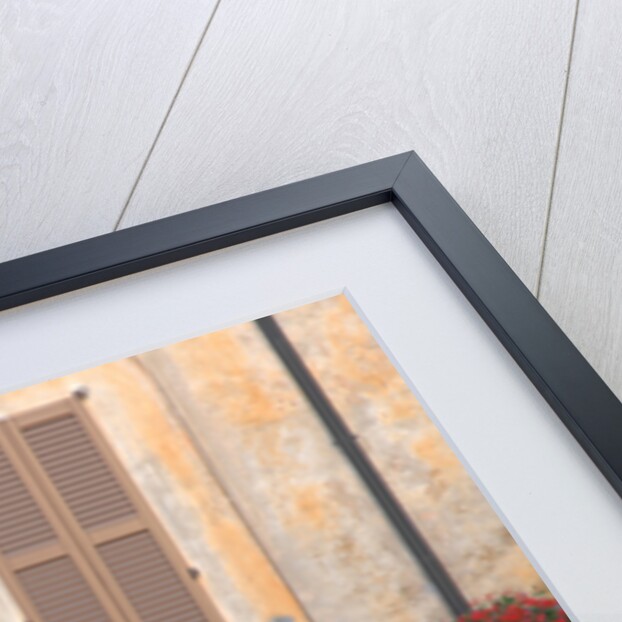 1968 Ferrari 330 GTC Coupe by Unknown