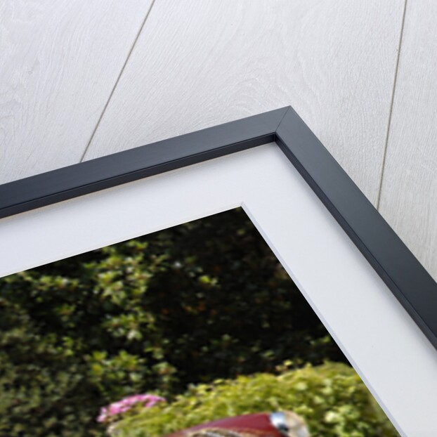 1949 Maserati 1500 Grand Tourismo by Unknown