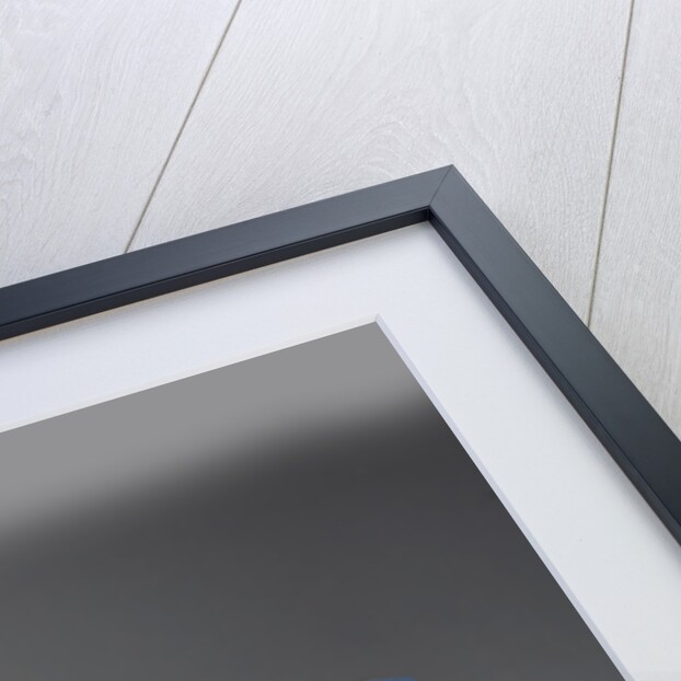 2001 Lotus Esprit V8 by Unknown