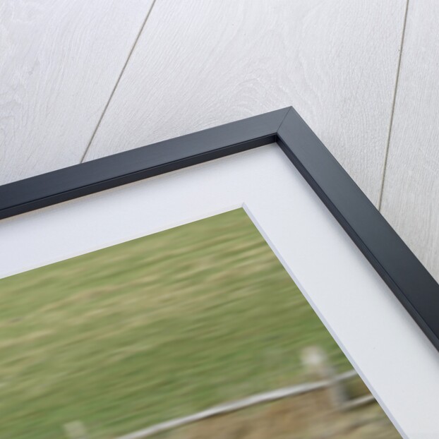 1902 Locomobile Steam Car by Unknown