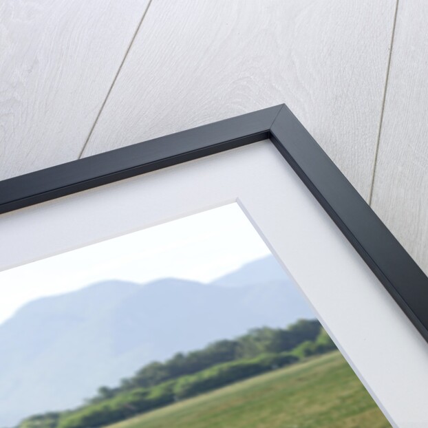 1973 Porsche 911 Carrera 2.8 RSR by Unknown