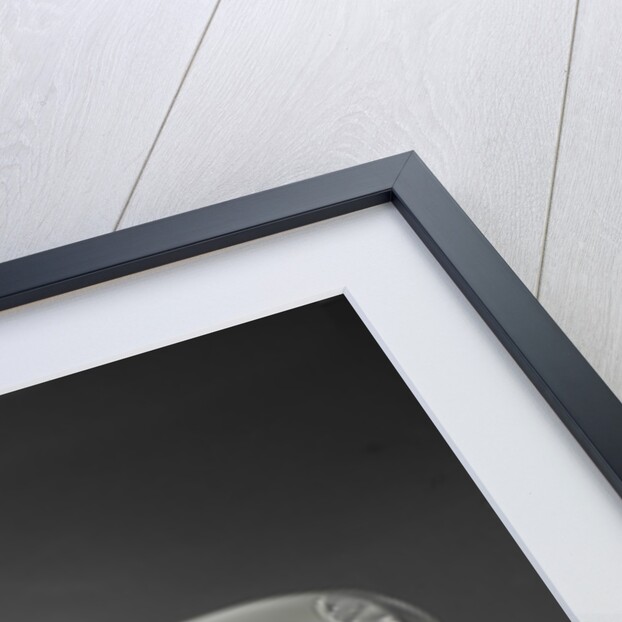 1964 Aston Martin DB5 Superleggera by Unknown