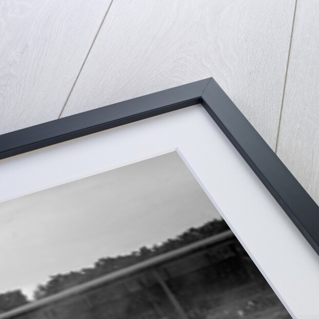 Race meeting at Donington Park, Leicestershire, 1936 by Bill Brunell