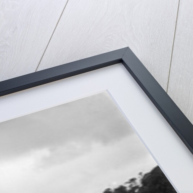 J Cleland's Ford V8 and JH Barker's Riley Lynx at the chicane, JCC Members Day, Brooklands, 1939 by Bill Brunell