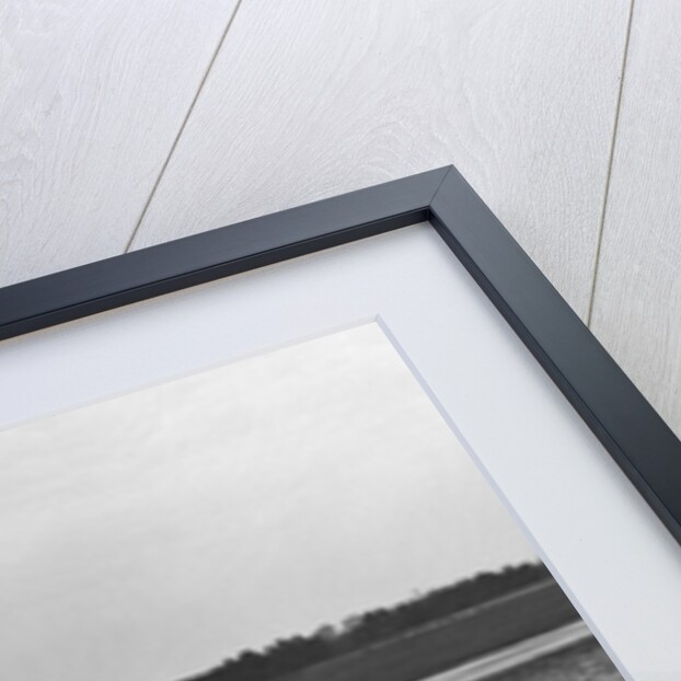 Appleton Special Racing single seater, Rapier Special and MG on the Campbell Circuit at Brooklands by Bill Brunell