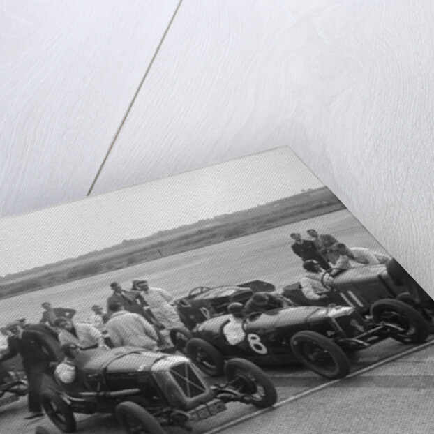Frazer-Nash, Samson and Riley cars at an Inter-Club Meeting, Brooklands, 20 June 1931 by Bill Brunell