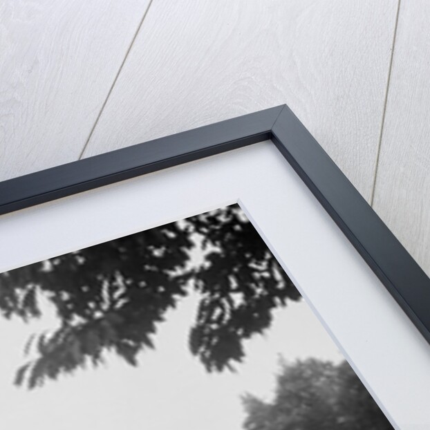 Riley 9 Brooklands on the banking at Brooklands by Bill Brunell