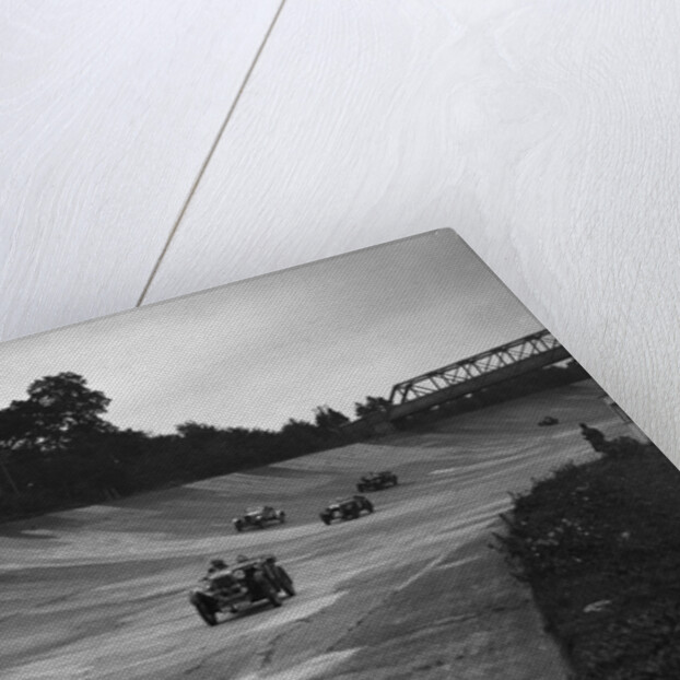 Cars racing on the Members Banking at a JCC Members Day, Brooklands by Bill Brunell