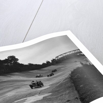 Cars racing on the Members Banking at a JCC Members Day, Brooklands by Bill Brunell