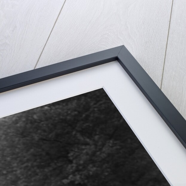 Raymond Mays' Vauxhall-Villiers competing in the Shelsley Walsh Speed Hill Climb, Worcestershire by Bill Brunell