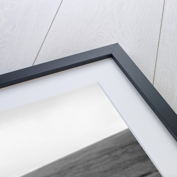 490 cc Norton and sidecar of CF Crossby, winner of a silver award, MCC Torquay Rally, July 1937 by Bill Brunell