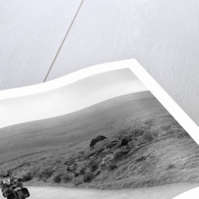 1208 cc Harley-Davidson of FJ Sturley, winner of a bronze award at the MCC Torquay Rally, July 1937 by Bill Brunell