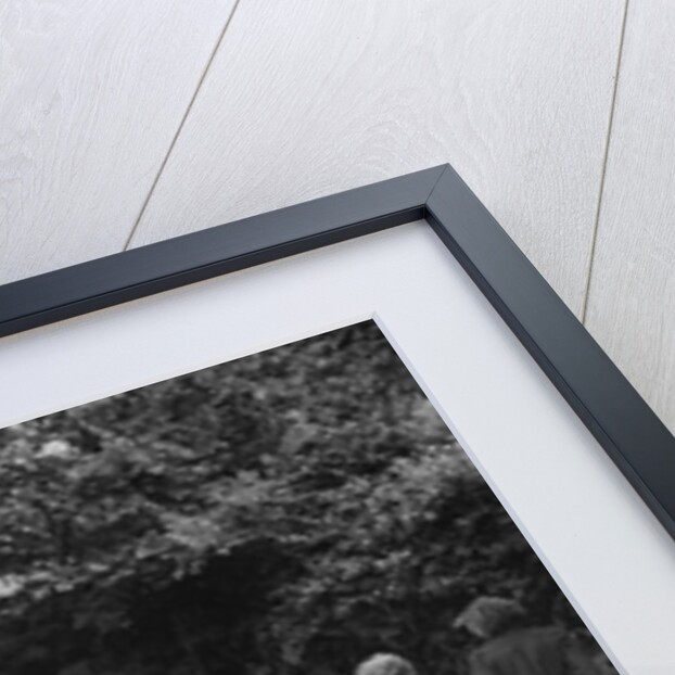 Riley of JM Laing, winner of a bronze award at the MCC Torquay Rally, July 1937 by Bill Brunell