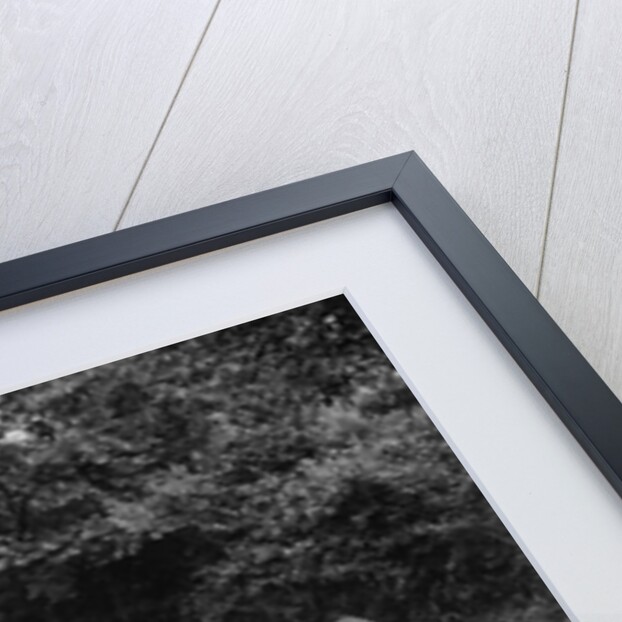 GK Collier's Wolseley Wasp, winner of a silver award at the MCC Torquay Rally, July 1937 by Bill Brunell