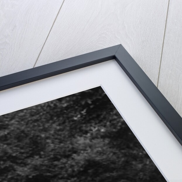 MG Shorey's Riley Lynx, winner of a bronze award at the MCC Torquay Rally, July 1937 by Bill Brunell