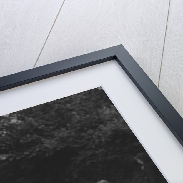 1935 Frazer-Nash BMW of DN Leon competing at the MCC Torquay Rally, July 1937 by Bill Brunell