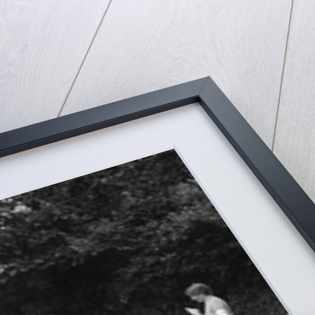 AL Baker's MG Magnette, winner of a bronze award at the MCC Torquay Rally, July 1937 by Bill Brunell