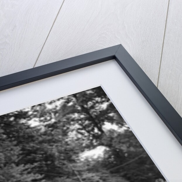 Ford V8 of J Whalley, winner of a bronze award at the MCC Torquay Rally, July 1937 by Bill Brunell