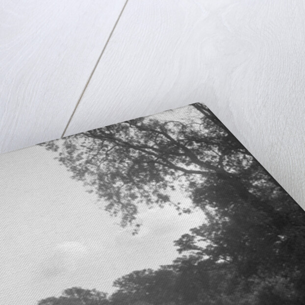 Car taking part in the Bugatti Owners Club car treasure hunt, 25 October 1931 by Bill Brunell