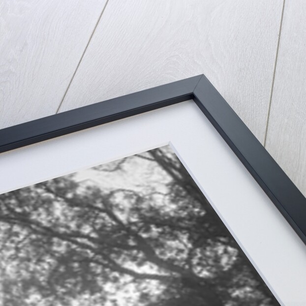 Car taking part in the Bugatti Owners Club car treasure hunt, 25 October 1931 by Bill Brunell