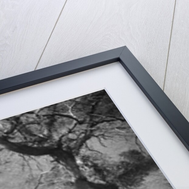 Kitty Brunell driving a 1930 Ford Model A 2-seater through a ford, 1931 by Bill Brunell