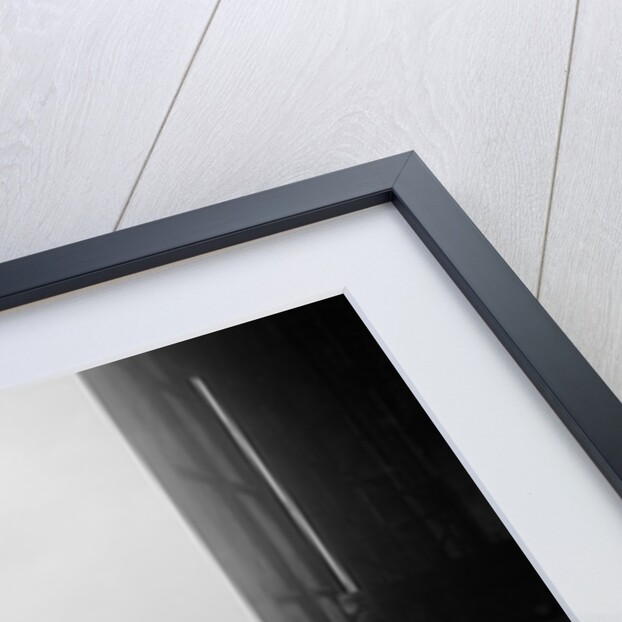 Riley Motor Club Rally, Croydon Aerodrome, 25 April 1931 by Bill Brunell