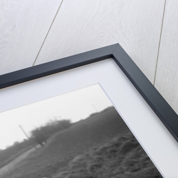 Three women having a picnic during a road test of a Triumph Scorpion, 1931 by Bill Brunell