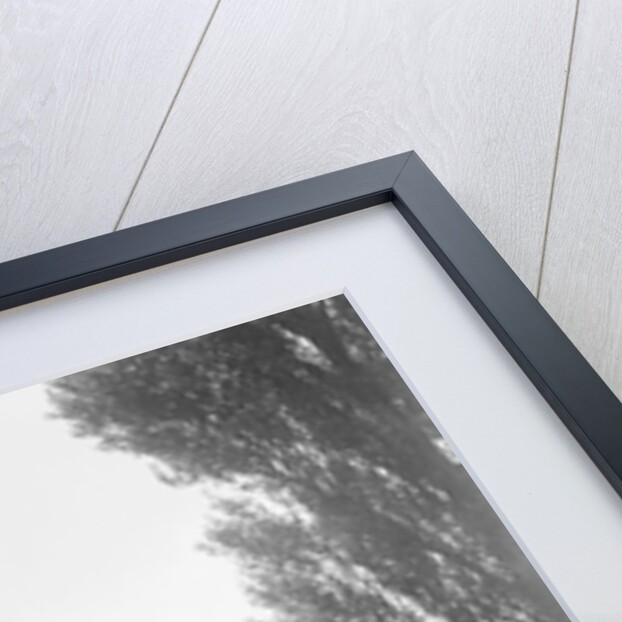 Kitty Brunell road testing a 1931 Delage D8, Wykehurst Place, Bolney, Sussex by Bill Brunell