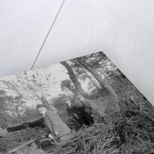 Shooting party by Bill Brunell