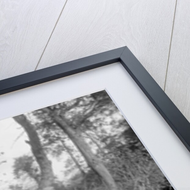 Shooting party by Bill Brunell