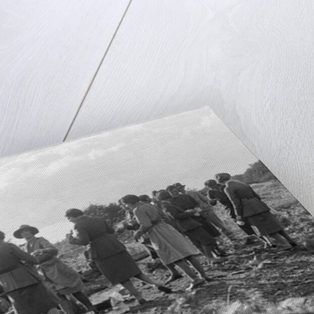Women at a First Aid Nursing Yeomanry (FANY) trial or rally, 1931. by Bill Brunell