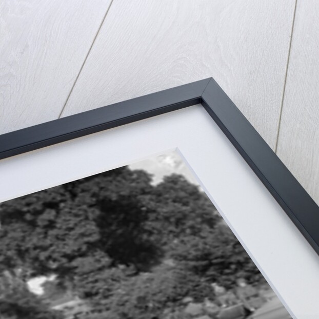 Women at a First Aid Nursing Yeomanry (FANY) trial or rally, 1931. by Bill Brunell