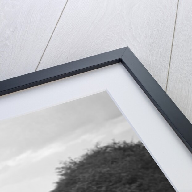 Austin 16/6 taking part in a First Aid Nursing Yeomanry trial or rally, 1931 by Bill Brunell