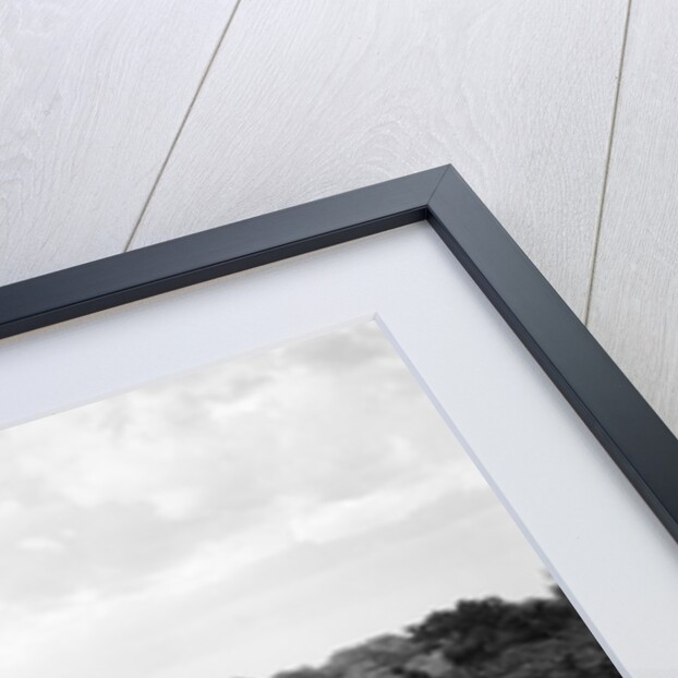 Austin 12/4 taking part in a First Aid Nursing Yeomanry trial or rally, 1931 by Bill Brunell