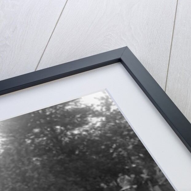 Citroen saloon, Bugatti Owners Club Hill Climb, Chalfont St Peter, Buckinghamshire, 1935 by Bill Brunell