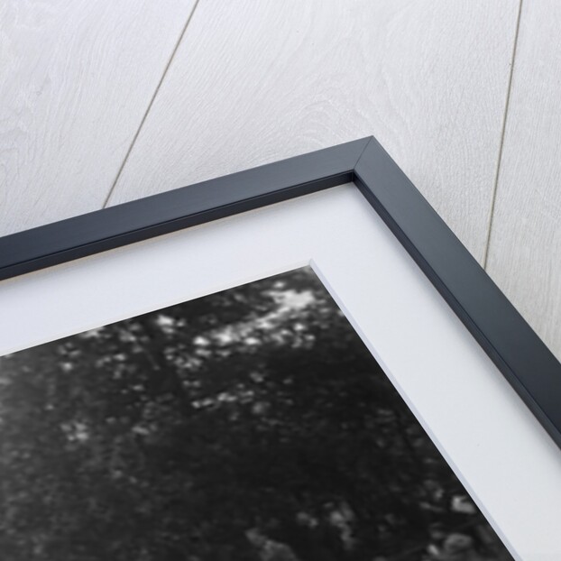 Alvis, Bugatti Owners Club Hill Climb, Chalfont St Peter, Buckinghamshire, 1935 by Bill Brunell