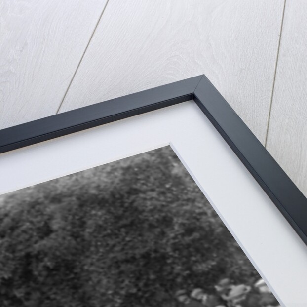 1934 Standard 10/12 taking part in a Standard Car Owners Club trial by Bill Brunell