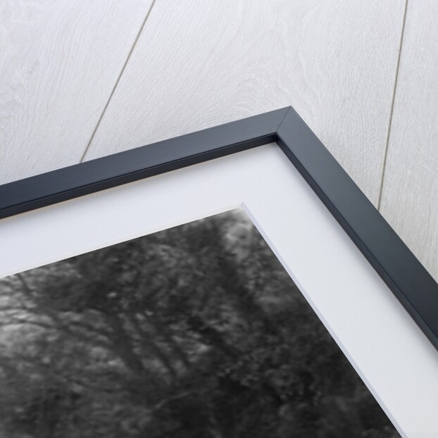 Standard Nine taking part in a Standard Car Owners Club trial by Bill Brunell