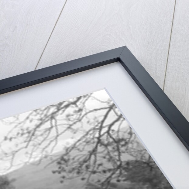 1934 Standard Sixteen taking part in a Standard Car Owners Club trial by Bill Brunell