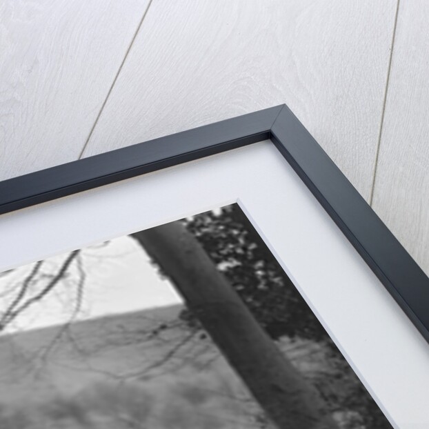 Austin Ulster of WGE Rushworth competing in the Inter-Varsity Trial, November 1931 by Bill Brunell