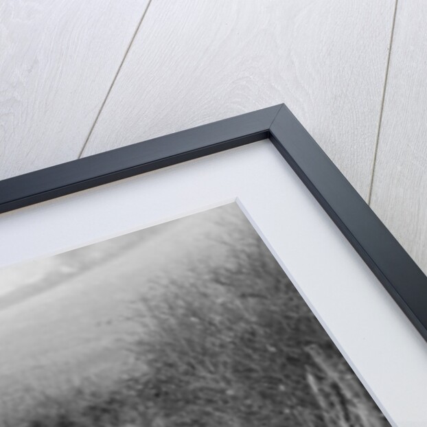 Sunbeam and sidecar competing in the Inter-Varsity Trial, November 1931 by Bill Brunell