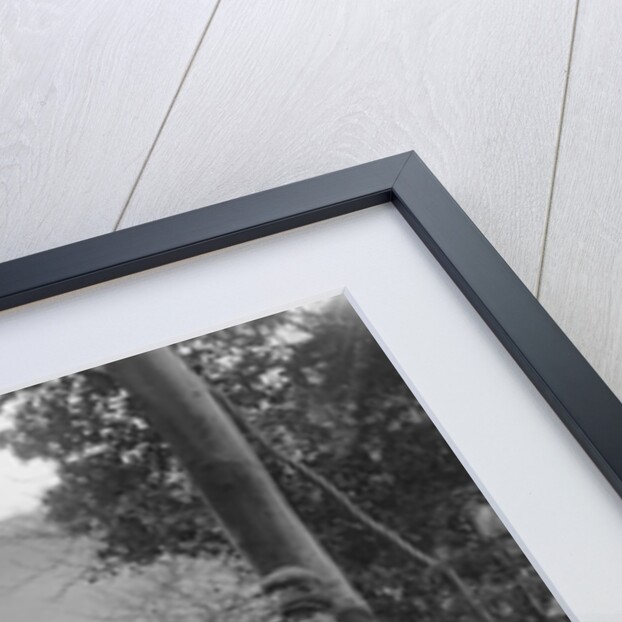 Norton and sidecar ridden by SL Grubb competing in the Inter-Varsity Trial, November 1931 by Bill Brunell