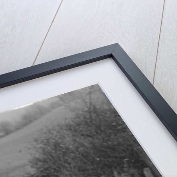 Austin Chummy of J Dyson-Taylor competing in the Inter-Varsity Trial, November 1931 by Bill Brunell