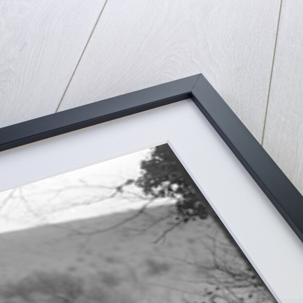 Wolseley Hornet of JM Suggs competing in the Inter-Varsity Trial, November 1931 by Bill Brunell