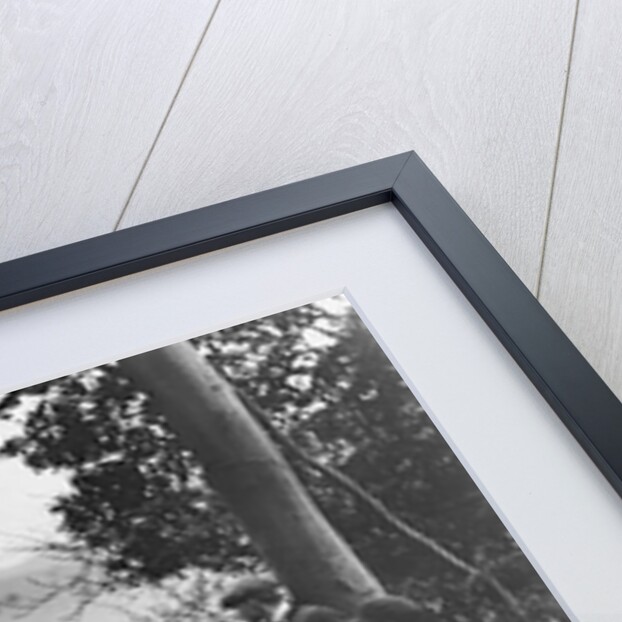 Morris Minor tourer of JE Clowes competing in the Inter-Varsity Trial, November 1931 by Bill Brunell