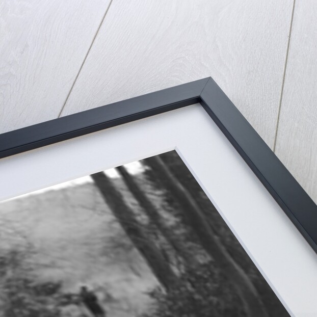 W Wright's Morris Minor with body by Arrow competing in the Inter-Varsity Trial, November 1931 by Bill Brunell