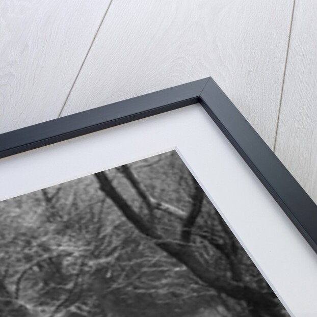 1934 Singer Le Mans taking part in a motoring trial, late 1930s by Bill Brunell