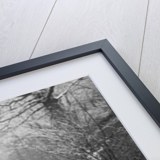 1935 MG NA Magnette taking part in a motoring trial, late 1930s by Bill Brunell