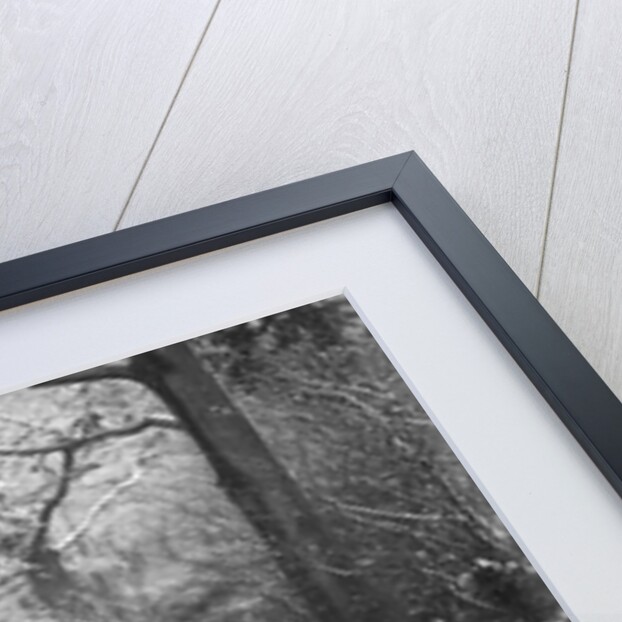 1936 MG TA of the Cream Cracker Team taking part in a motoring trial, late 1930s by Bill Brunell