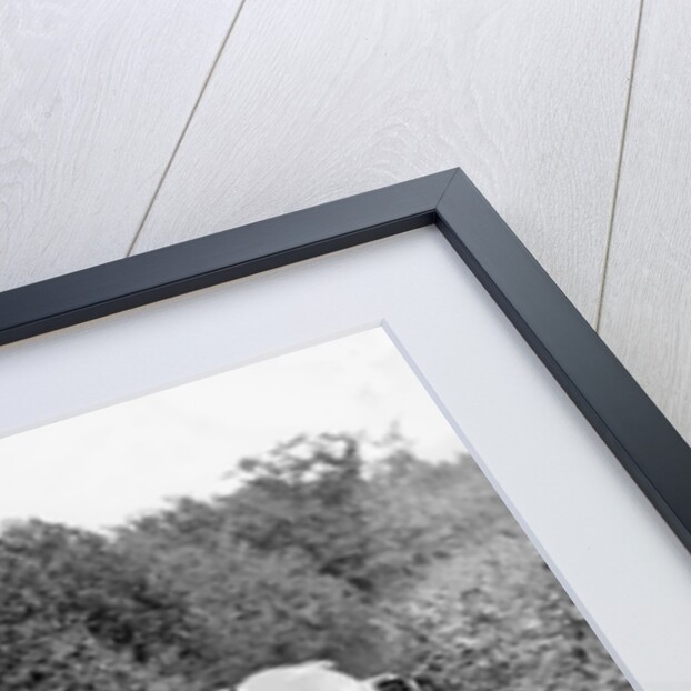 1925 Bentley of Miss MH Ogilvie taking part in the North West London Motor Club Trial, 1 June 1929 by Bill Brunell